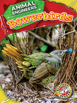 cover image of Bowerbirds
